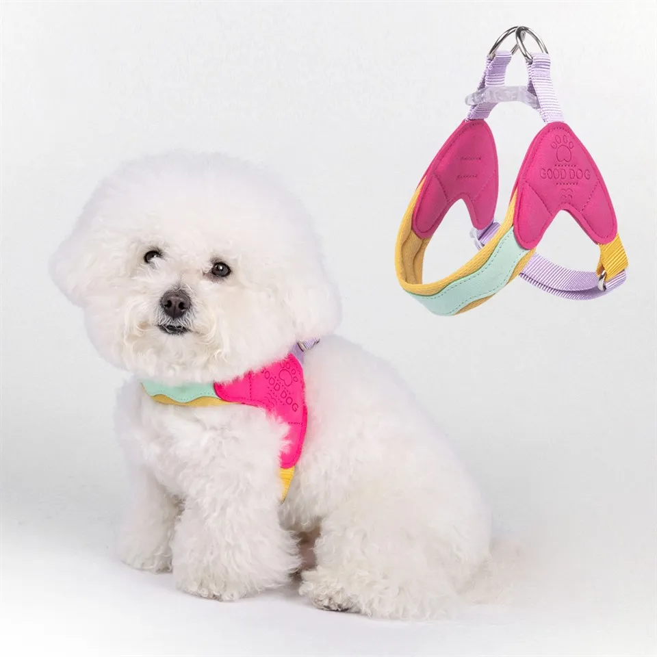 مهار توله سگ برای سگ های کوچک